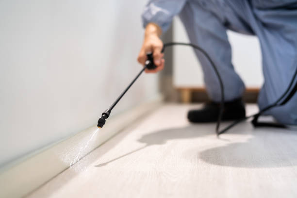 Professional exterminator conducting IPM assessment in Homedale